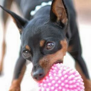 Meet your Posher, Christi